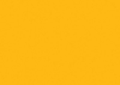 Yellow HDG 5010